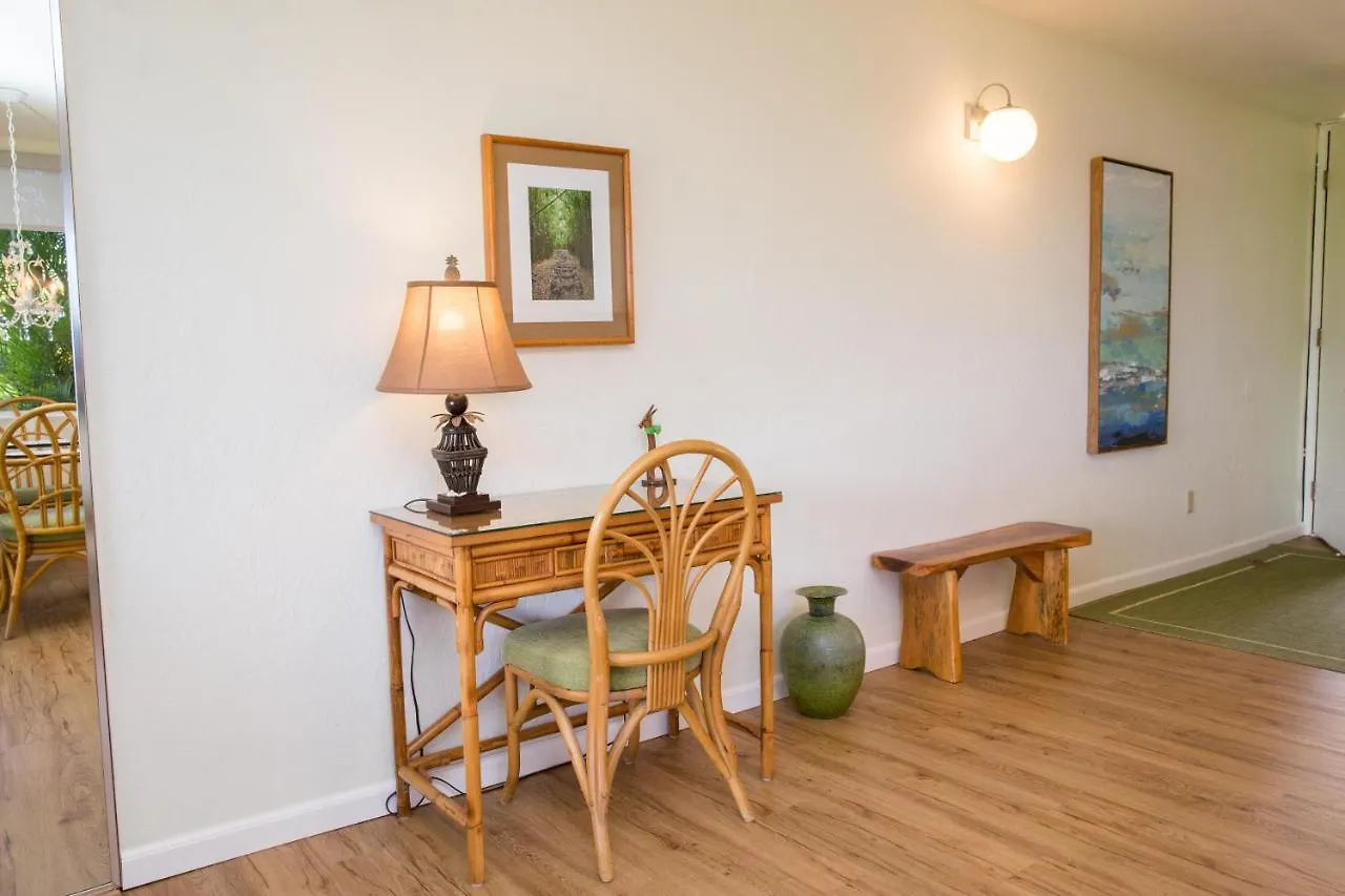 Hale Kamaole 177 Villa Wailea